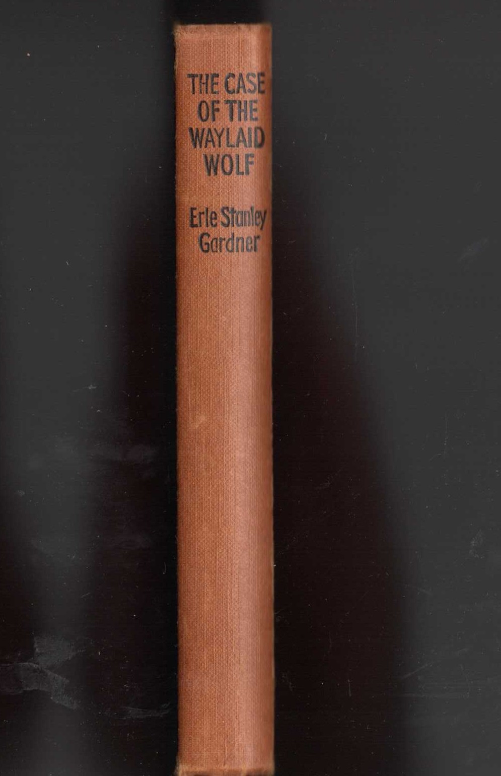 THE CASE OF THE WAYLAID WOLF front book cover image