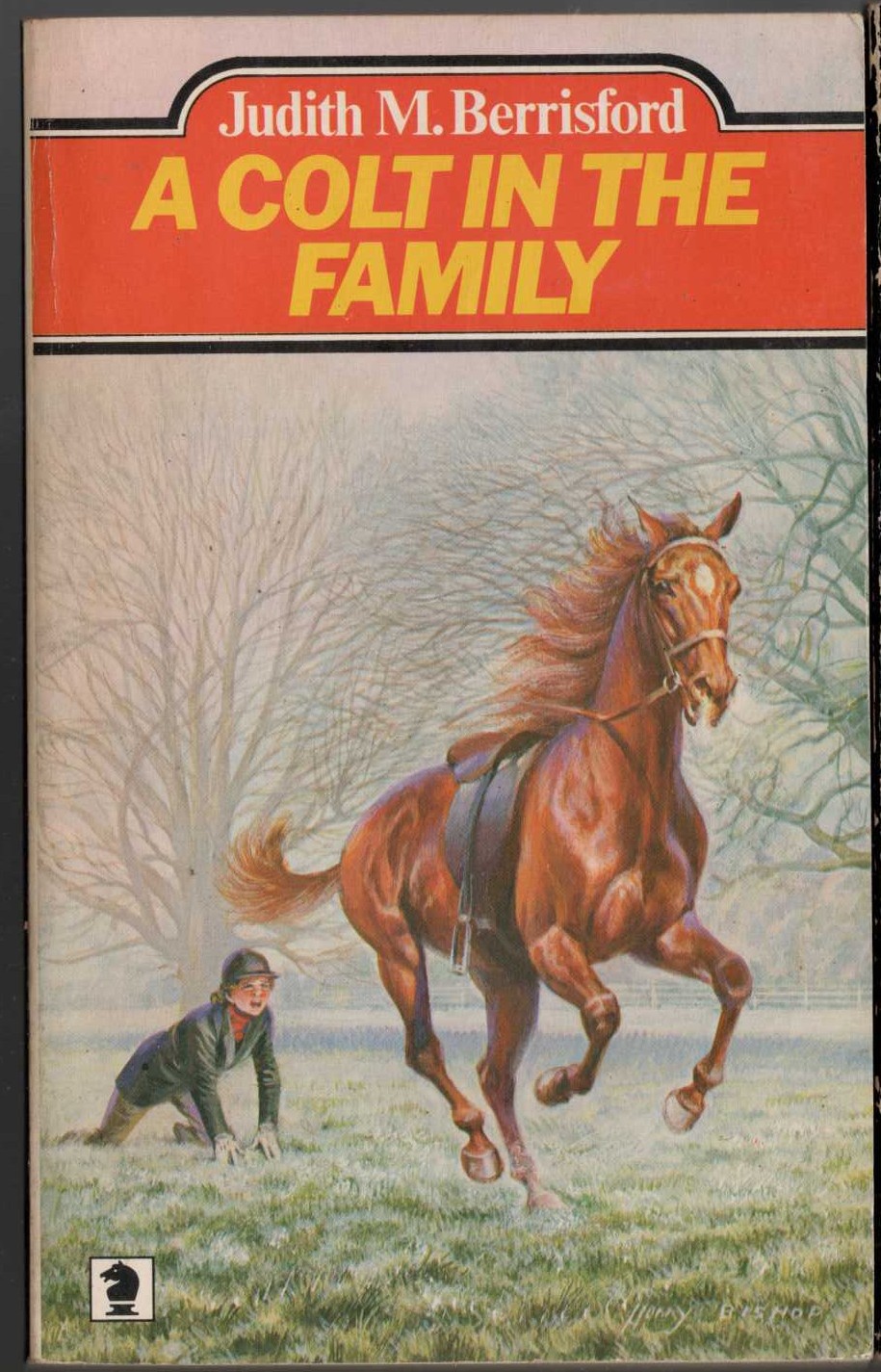 Judith M. Berrisford  A COLT IN THE FAMILY front book cover image