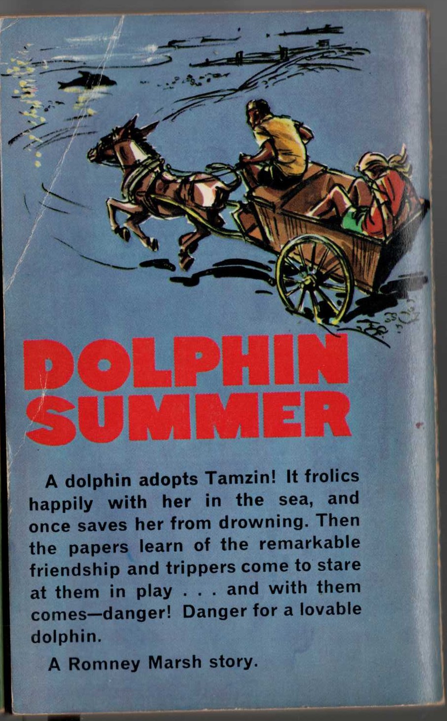 Monica Edwards  DOLPHIN SUMMER magnified rear book cover image