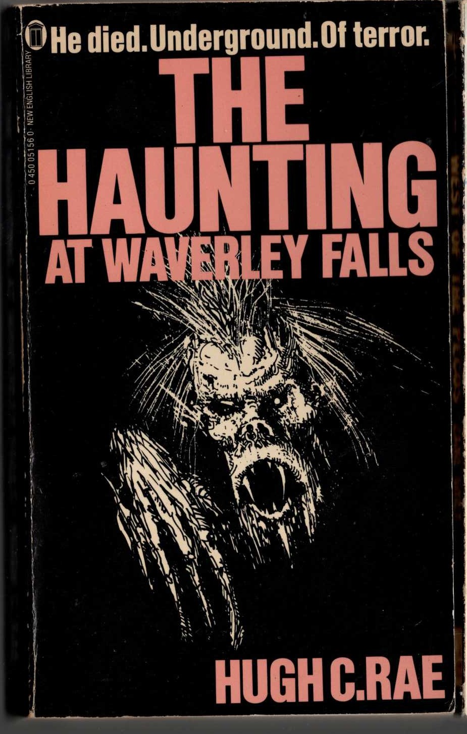 Hugh C. Rae  THE HAUNTING AT WAVERLEY FALLS front book cover image