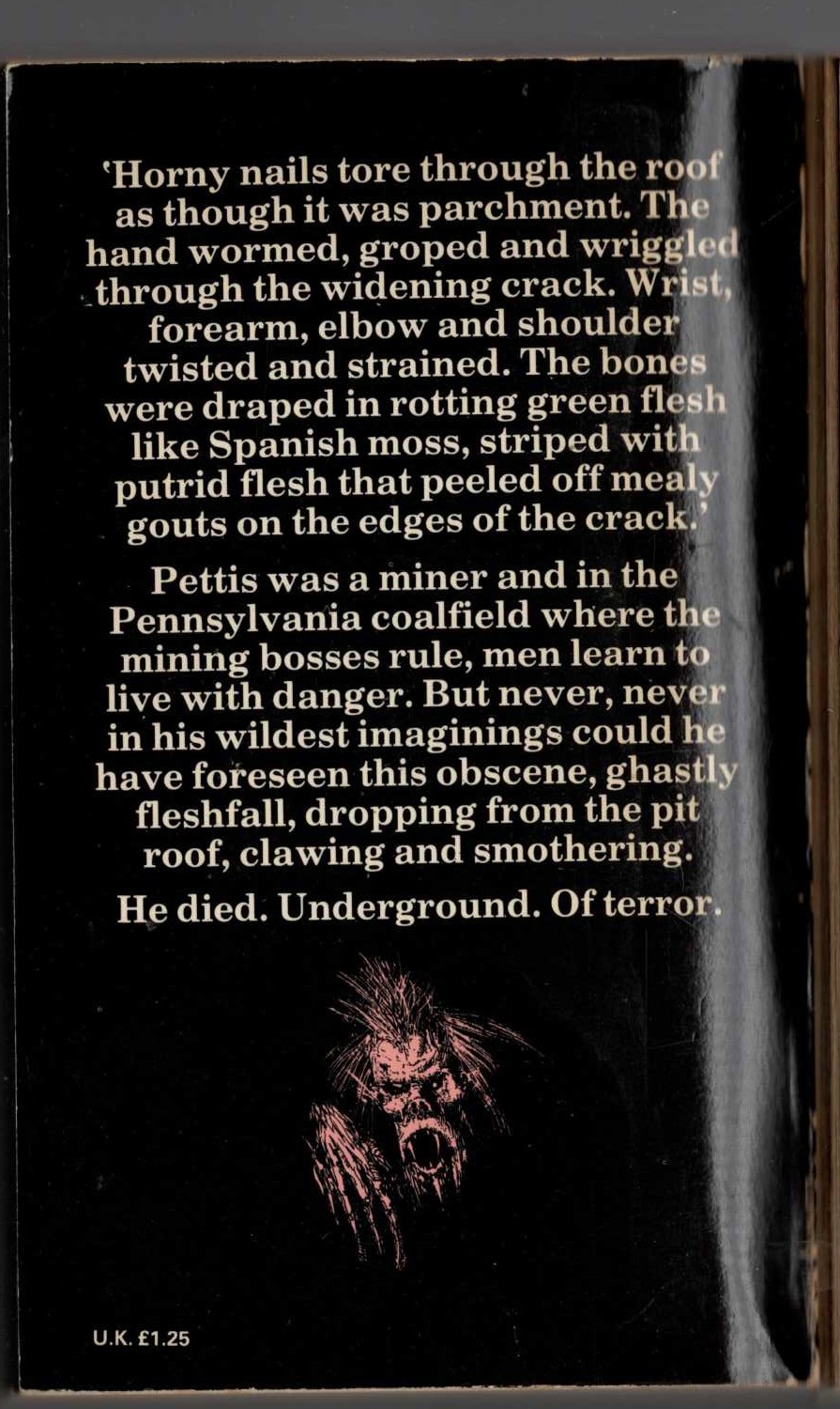 Hugh C. Rae  THE HAUNTING AT WAVERLEY FALLS magnified rear book cover image