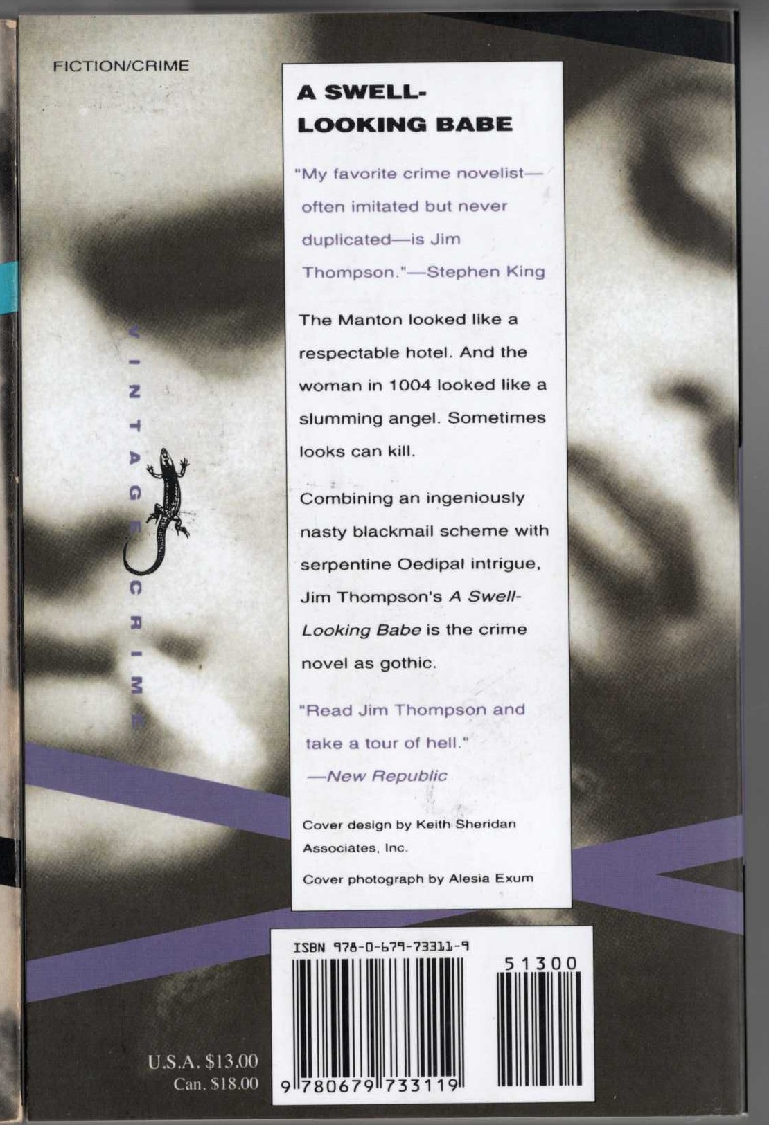 Jim Thompson  A SWELL-LOOKING BABE magnified rear book cover image