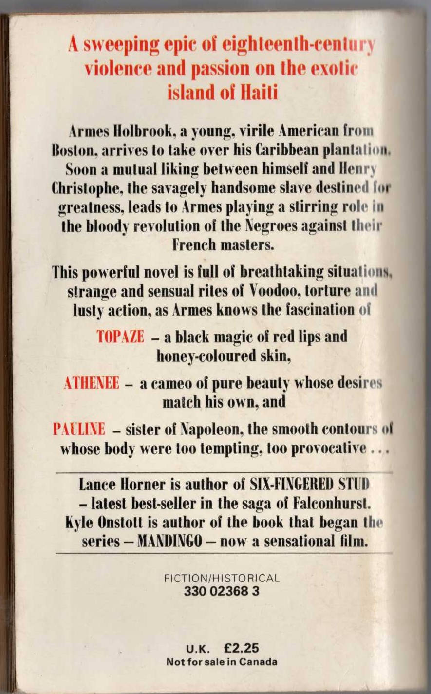 THE BLACK SUN magnified rear book cover image