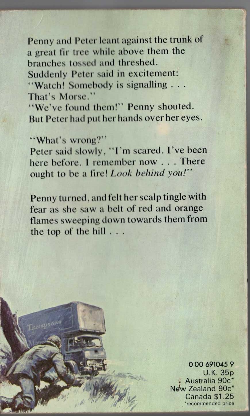 Malcolm Saville  THE SECRET OF GREY WALLS magnified rear book cover image