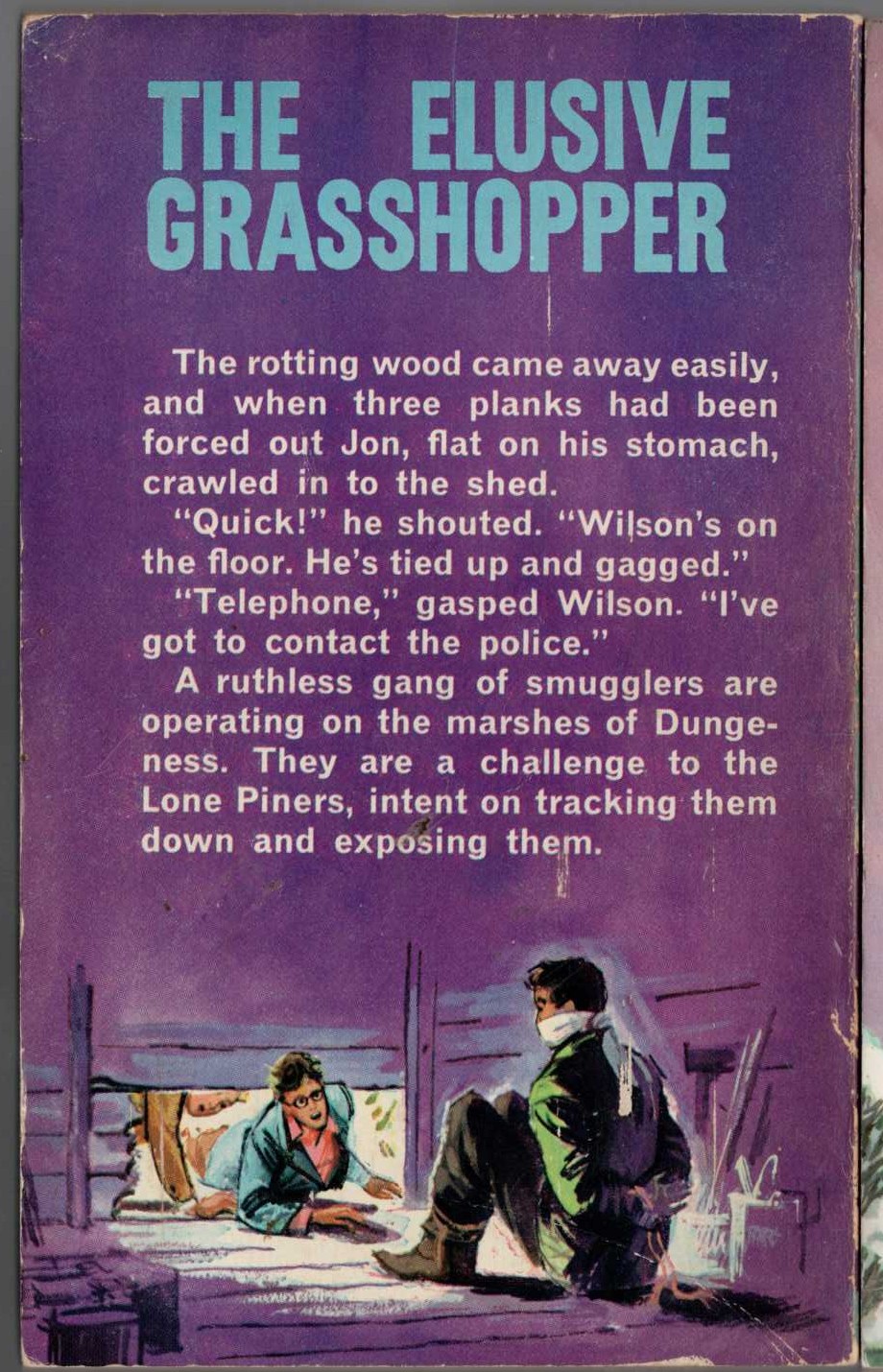 Malcolm Saville  THE ELUSIVE GRASSHOPPER magnified rear book cover image