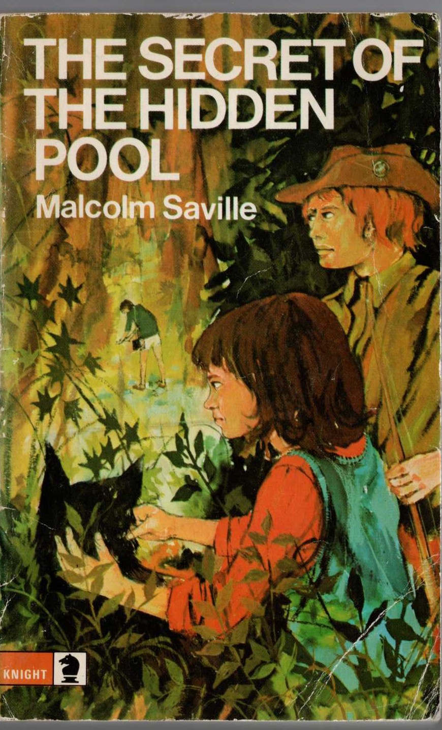 Malcolm Saville  THE SECRET OF THE HIDDEN POOL front book cover image