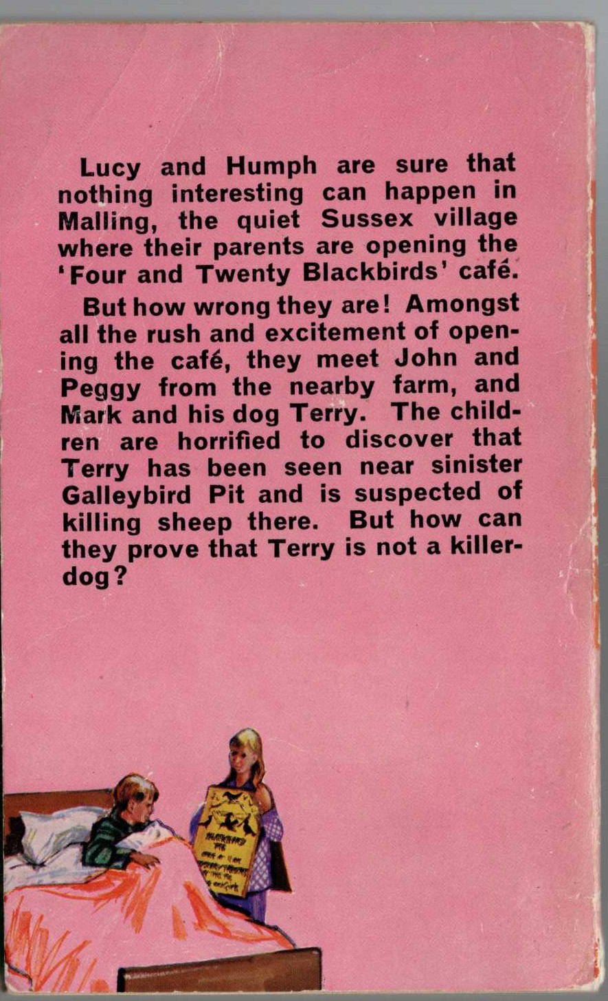 Malcolm Saville  THE SECRET OF GALLEYBIRD PIT magnified rear book cover image