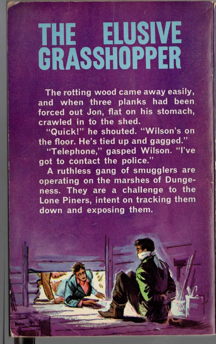 Malcolm Saville  THE ELUSIVE GRASSHOPPER magnified rear book cover image