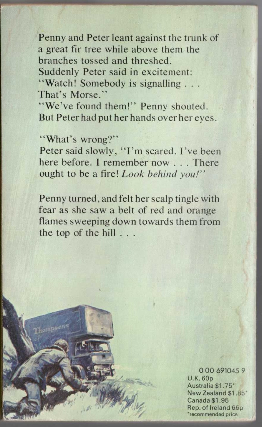 Malcolm Saville  THE SECRET OF GREY WALLS magnified rear book cover image