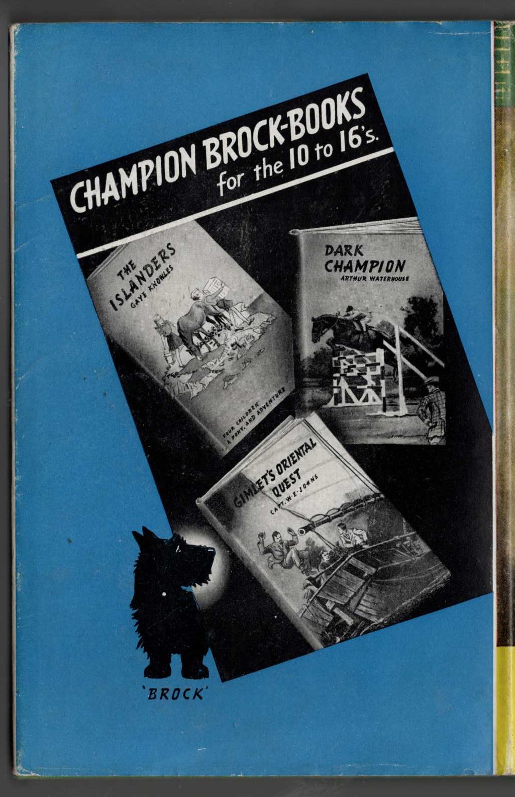 GIMLET'S ORIENTAL QUEST magnified rear book cover image