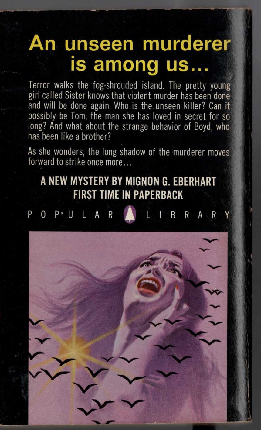 Mignon G. Eberhart  WITNESS AT LARGE magnified rear book cover image