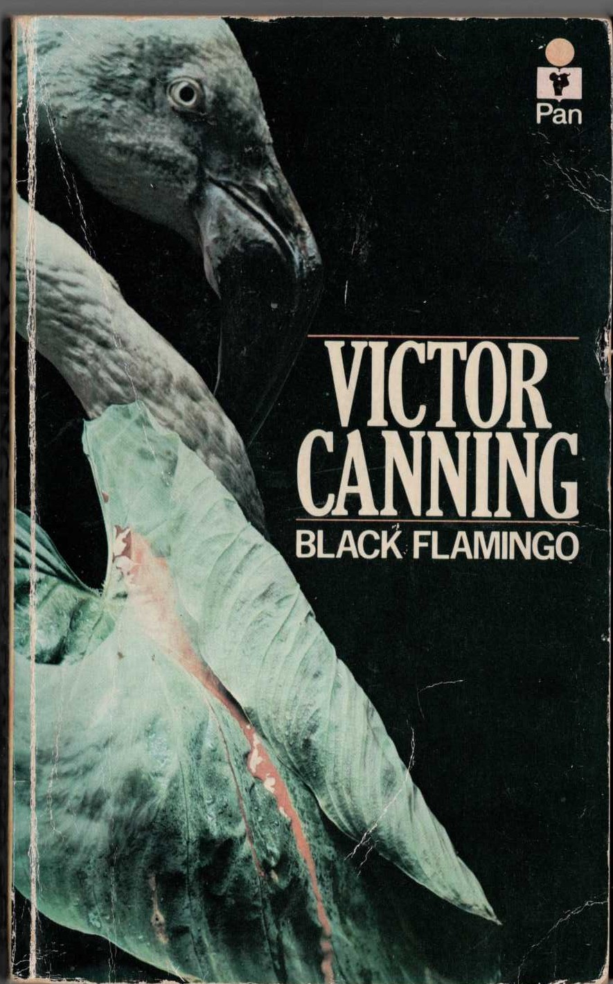 Victor Canning  BLACK FLAMINGO front book cover image