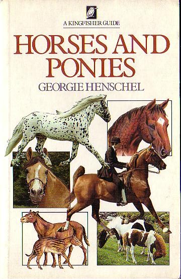 Georgie Henschel  HORSES AND PONIES front book cover image