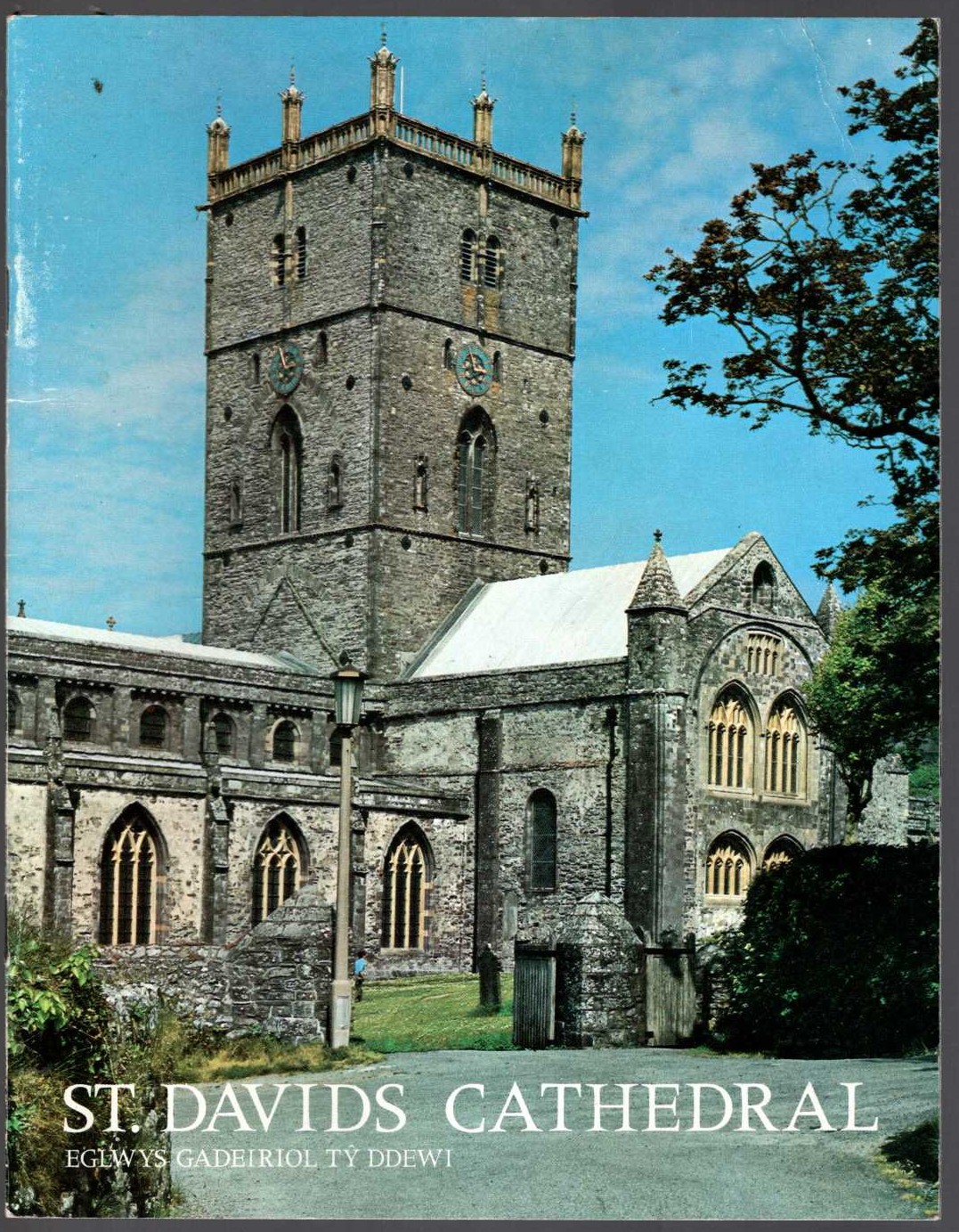 \ ST. DAVIDS CATHEDRAL by Anonymous front book cover image