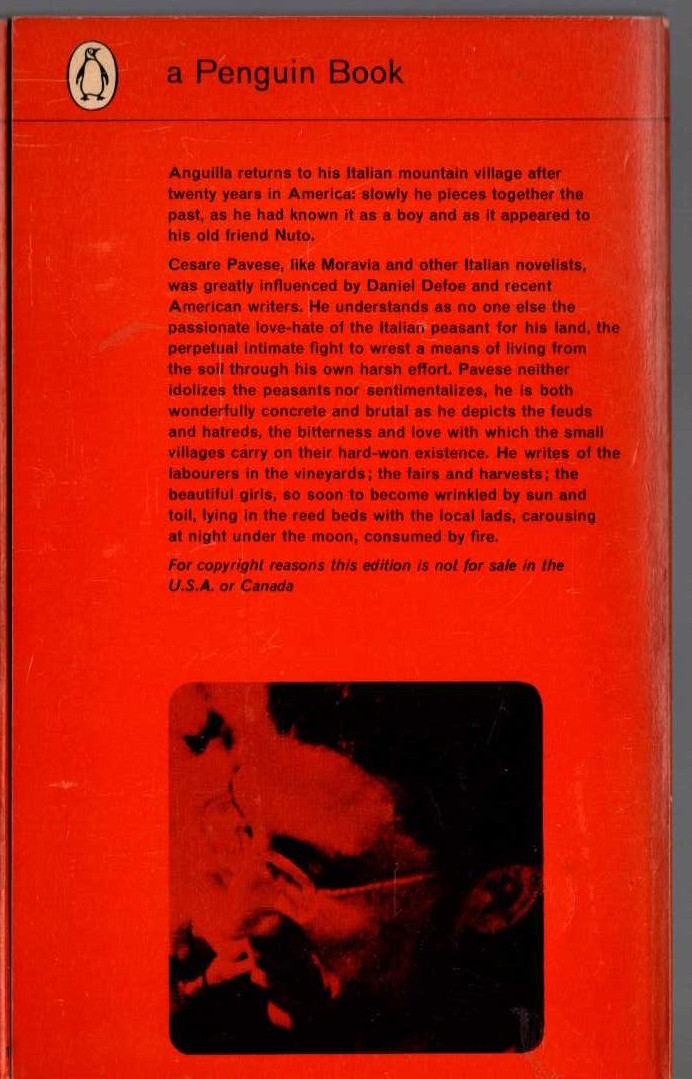 Cesare Pavese  THE MOON AND THE BONIRE magnified rear book cover image