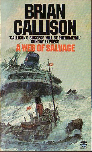 Brian Callison  A WEB OF SALVAGE front book cover image