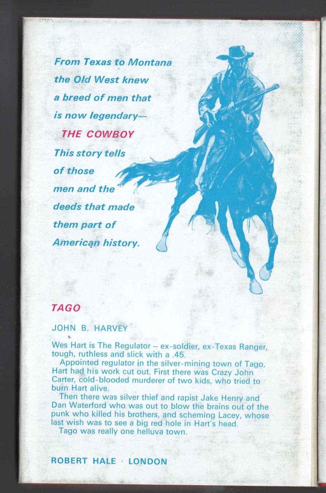 BLOOD ON THE BORDER magnified rear book cover image