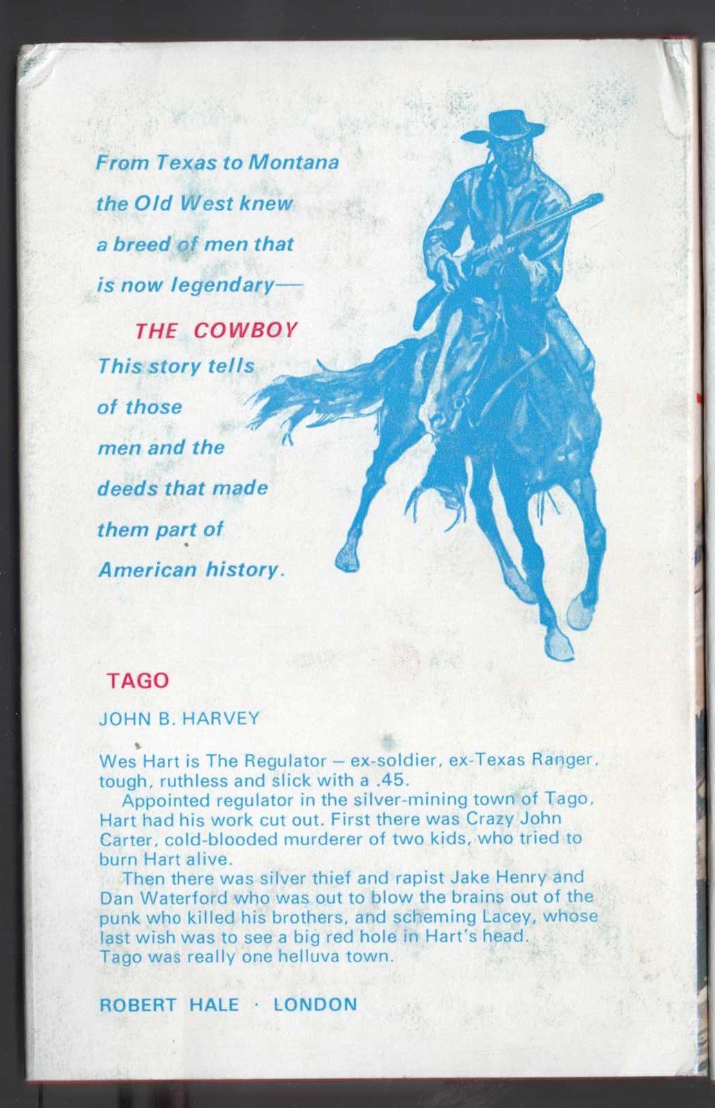 THE SILVER LIE magnified rear book cover image