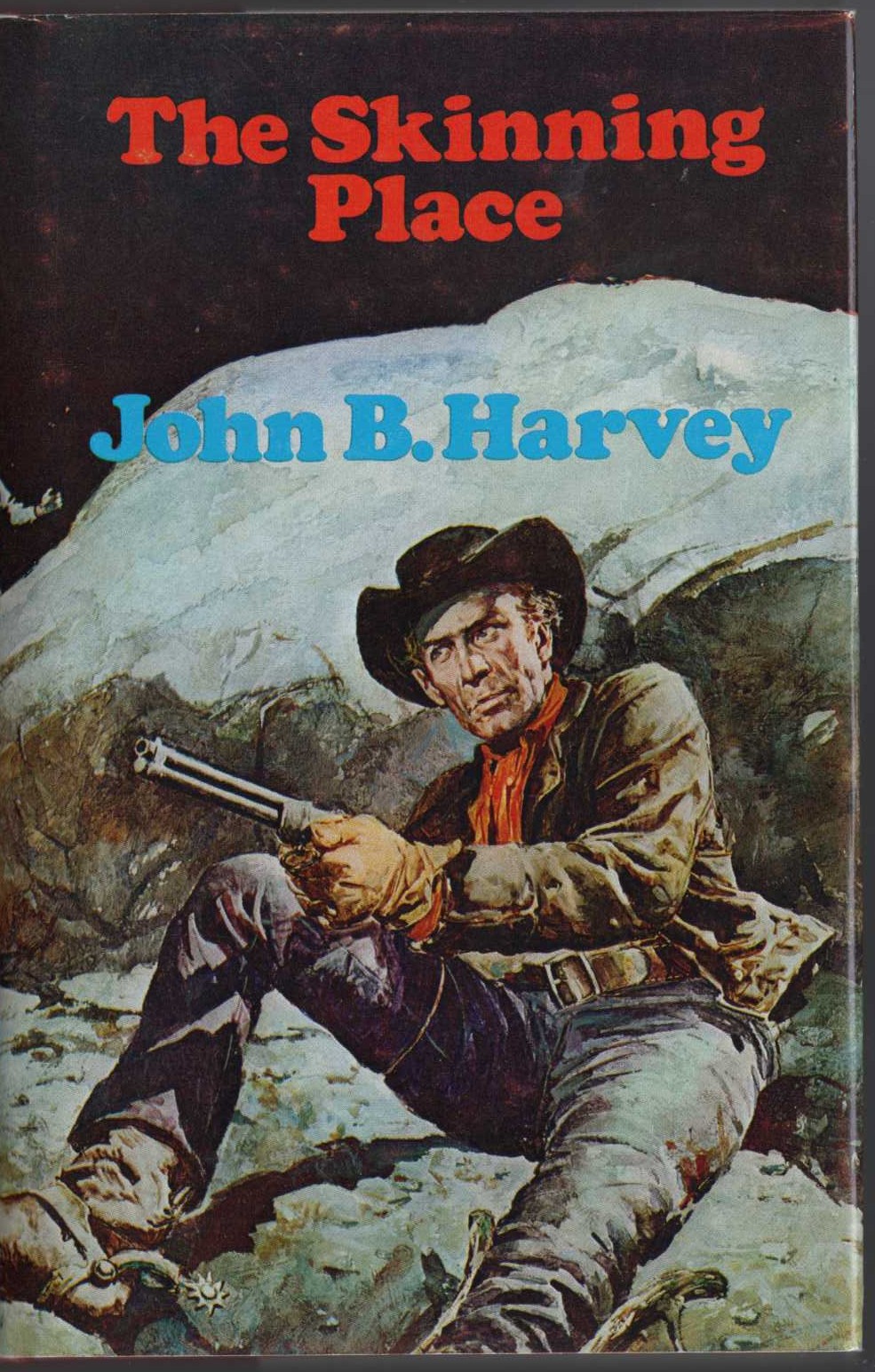 THE SKINNING PLACE front book cover image