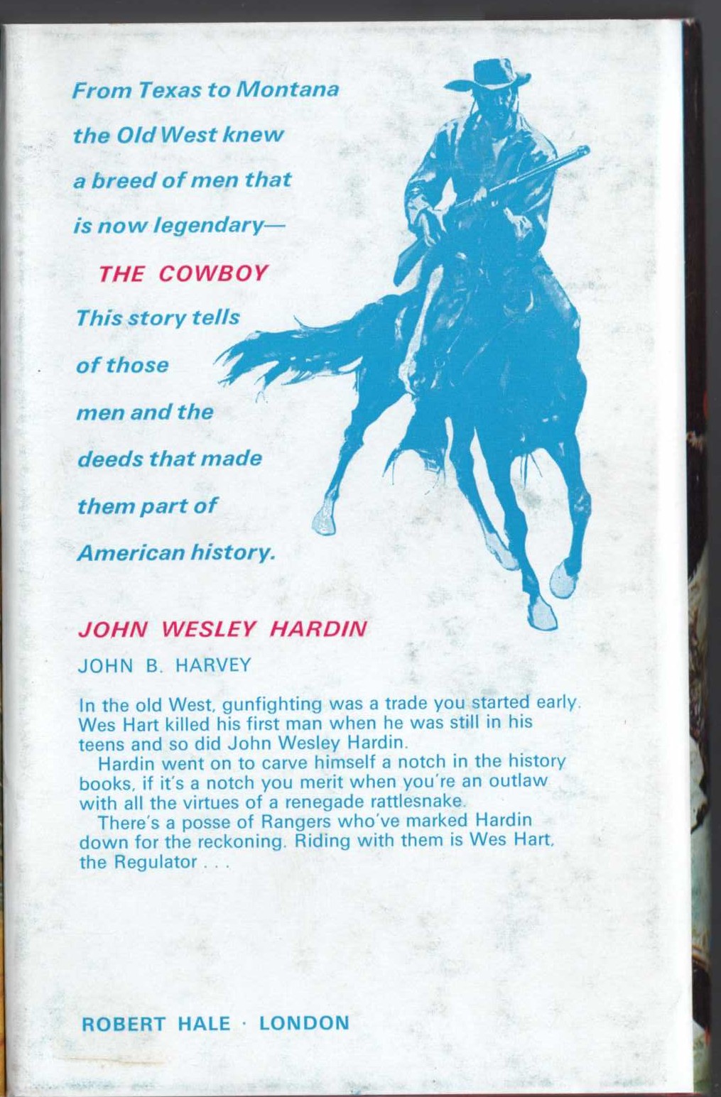 THE SKINNING PLACE magnified rear book cover image