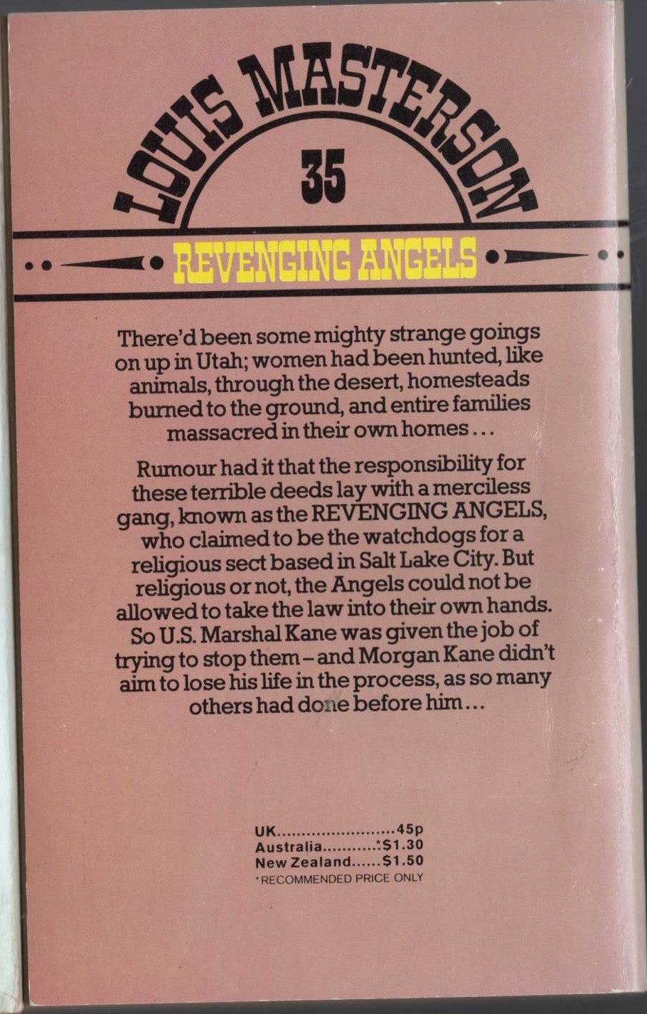 Louis Masterson  REVENGING ANGELS magnified rear book cover image