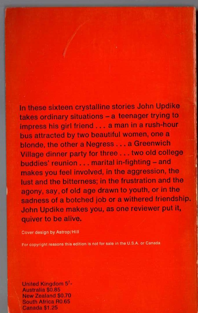 John Updike  THE SAME DOOR magnified rear book cover image