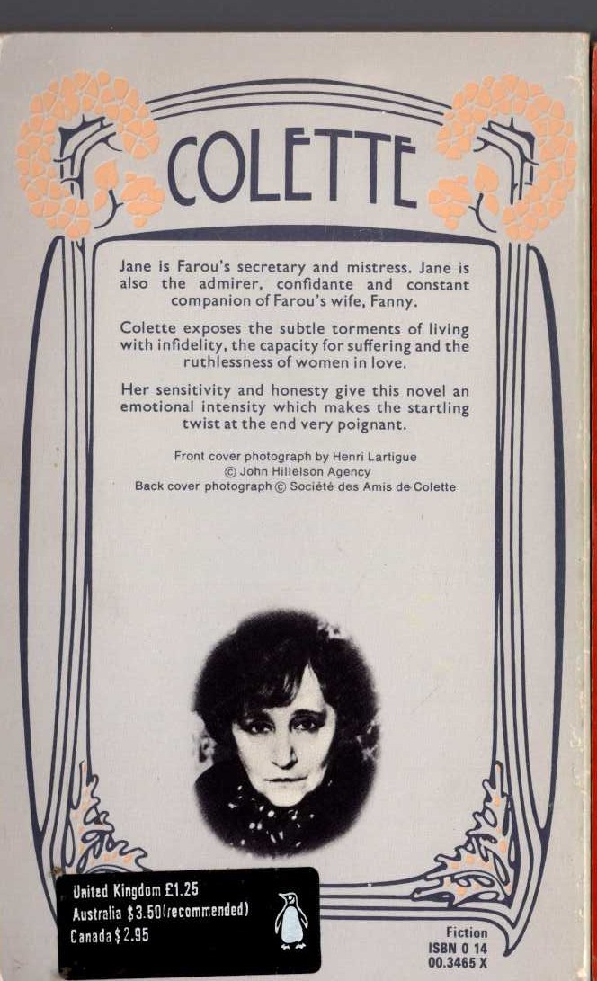 Colette   THE OTHER ONE magnified rear book cover image