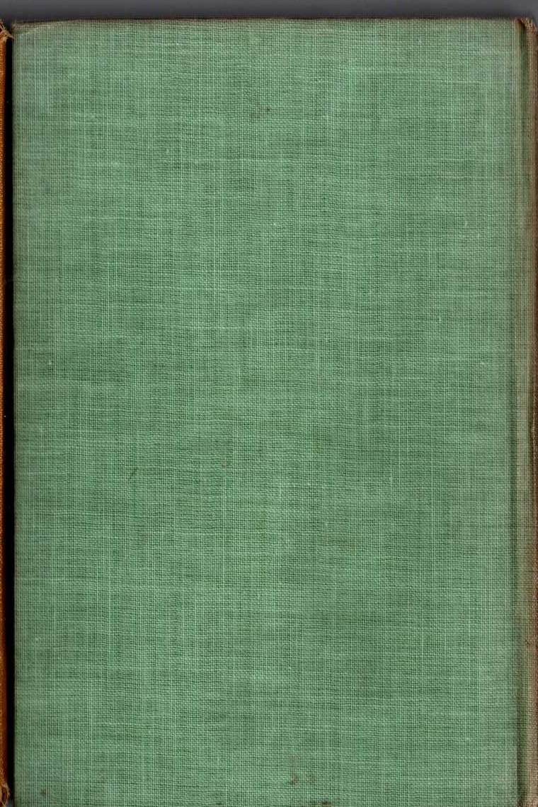 THE LIEUTENANT AND OTHERS magnified rear book cover image