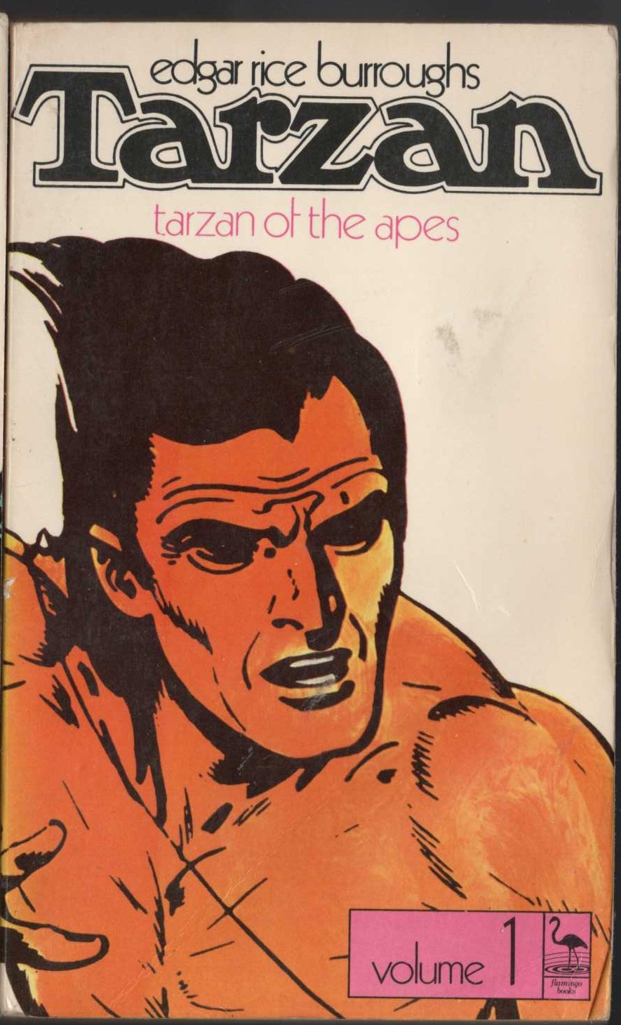 Edgar Rice Burroughs  TARZAN OF THE APES front book cover image