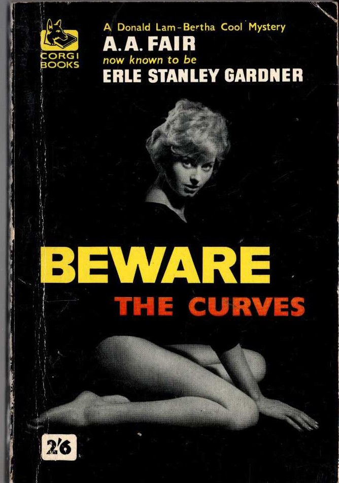 A.A. Fair  BEWARE THE CURVES front book cover image