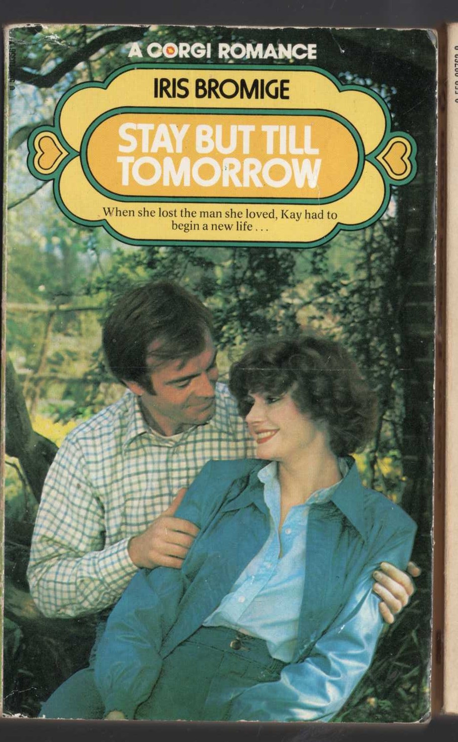 Iris Bromige  STAY BUT TILL TOMORROW front book cover image