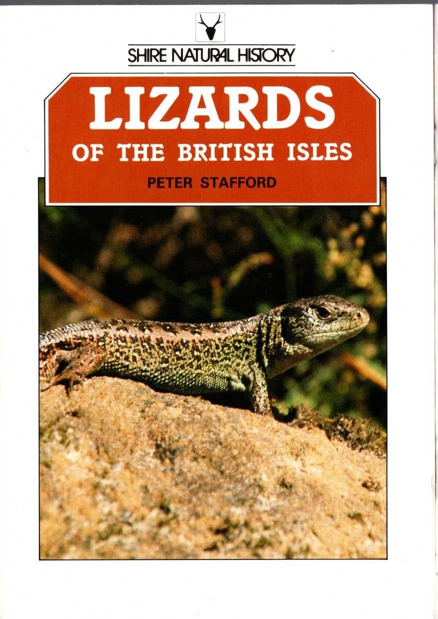 LIZARD OF THE BRITISH ISLES by Peter Stafford front book cover image