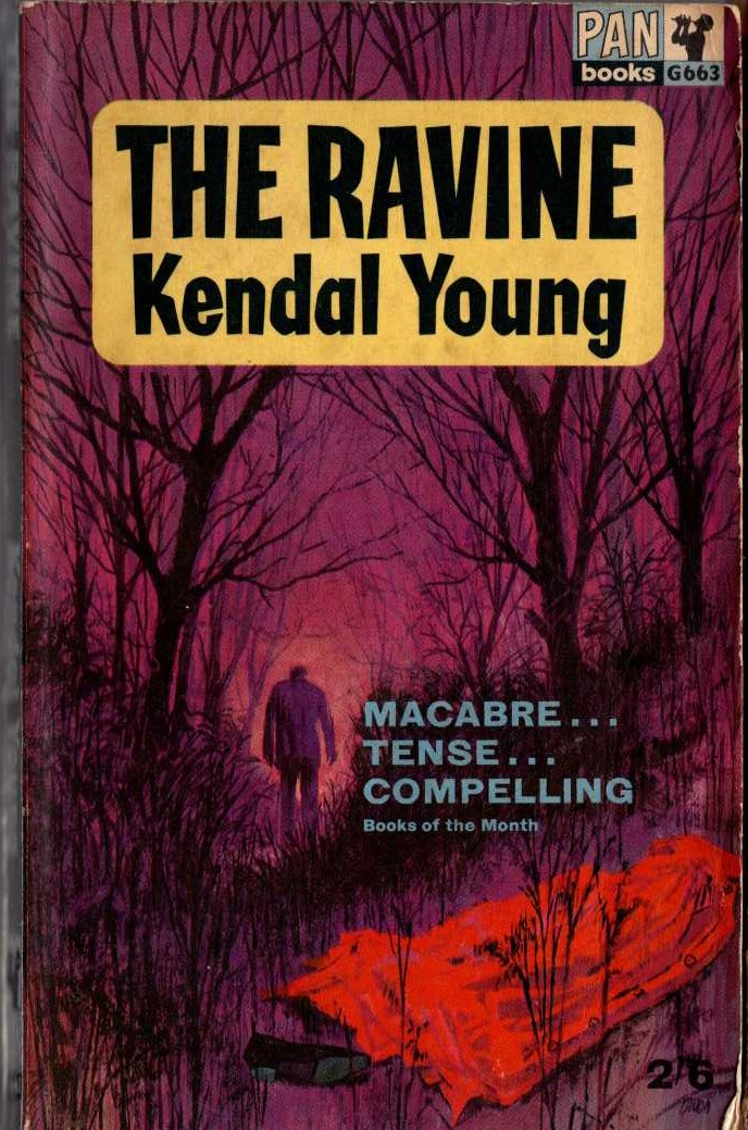 Kendal Young  THE RAVINE front book cover image