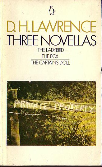 D.H. Lawrence  THREE NOVELLAS: THE LADYBIRD/ THE FOX/ THE CAPTAIN'S DOLL front book cover image