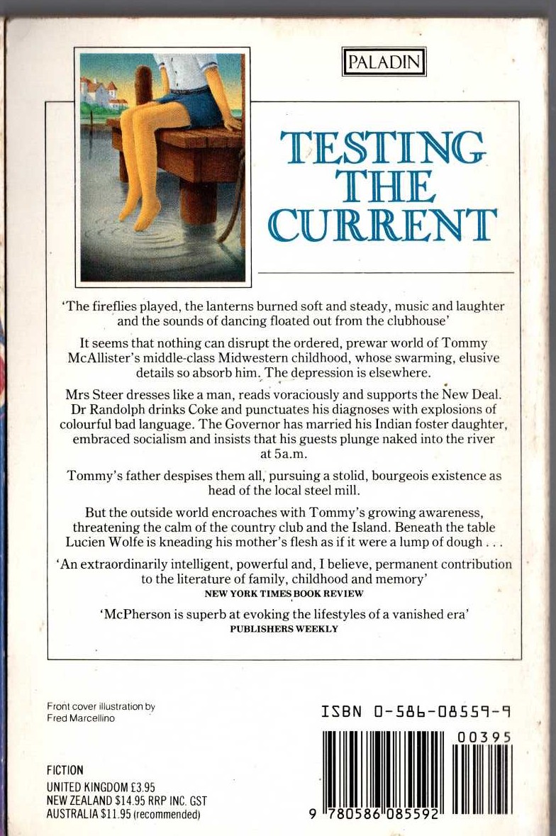 William McPherson  TESTING THE CURRENT magnified rear book cover image