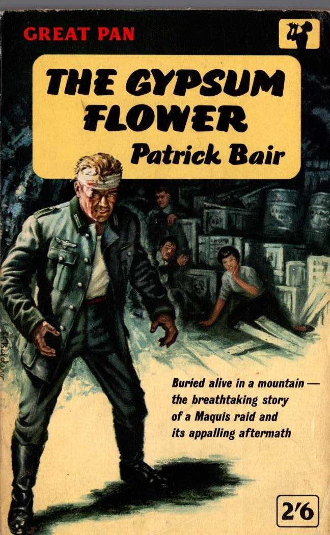 Patrick Bair  THE GYPSUM FLOWER front book cover image