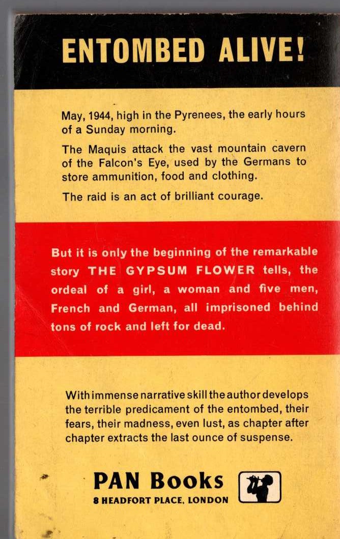 Patrick Bair  THE GYPSUM FLOWER magnified rear book cover image