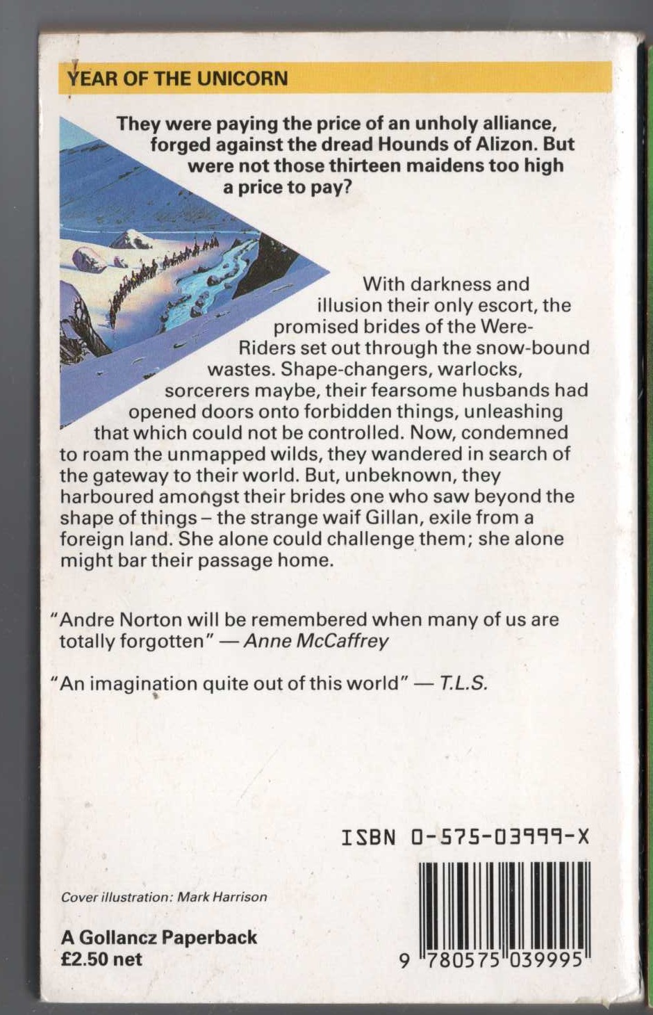 Andre Norton  YEAR OF THE UNICORN magnified rear book cover image