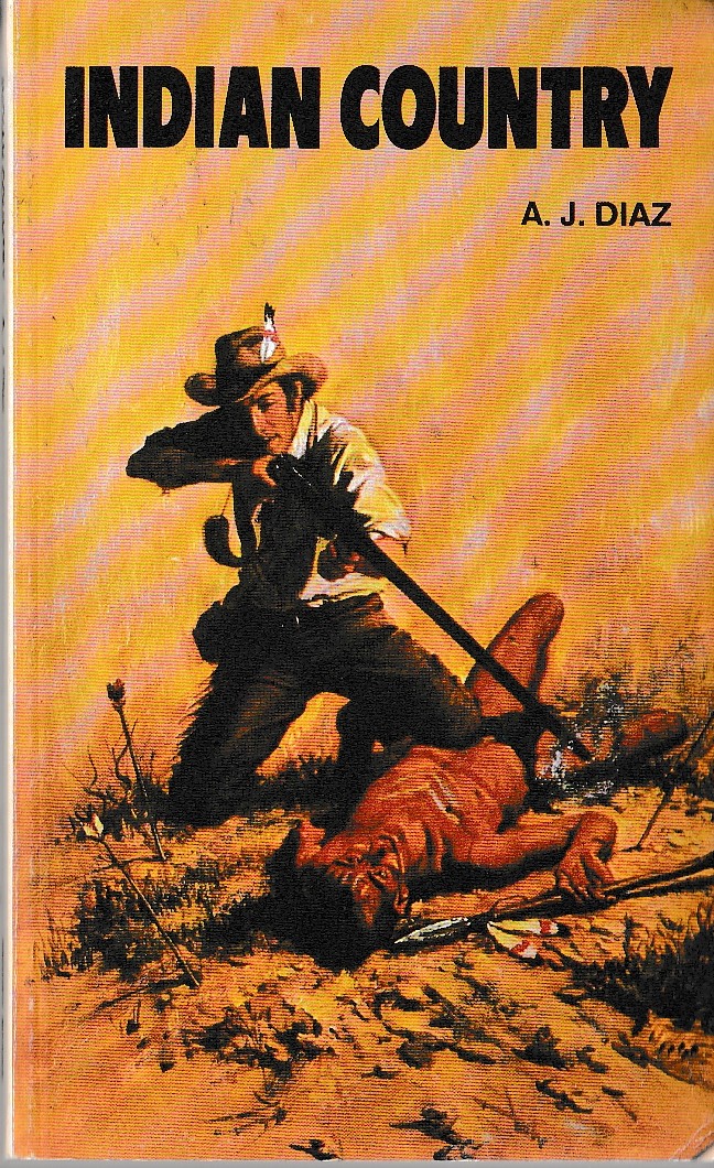 A.J. Diaz  INDIAN COUNTRY front book cover image
