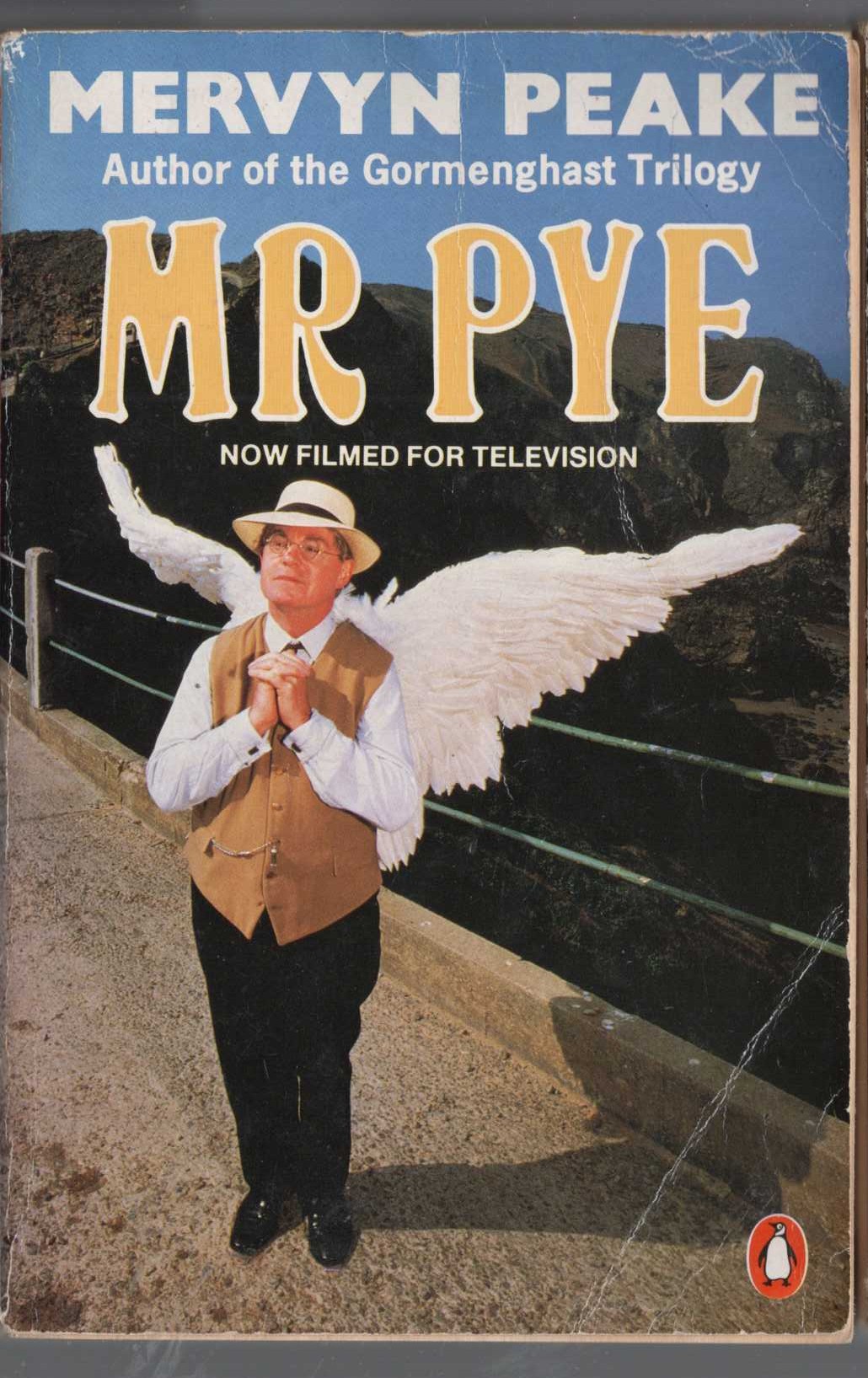 Mervyn Peake  MR PYE (TV tie-in) front book cover image