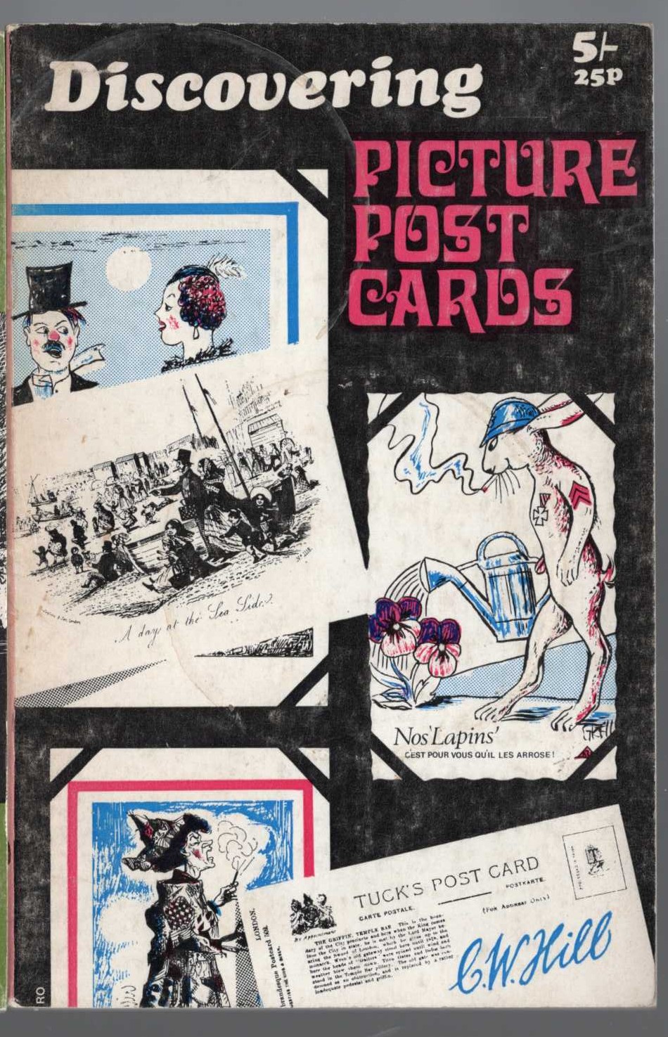 POSTCARDS, Discovering Picture by C.W.Hill front book cover image