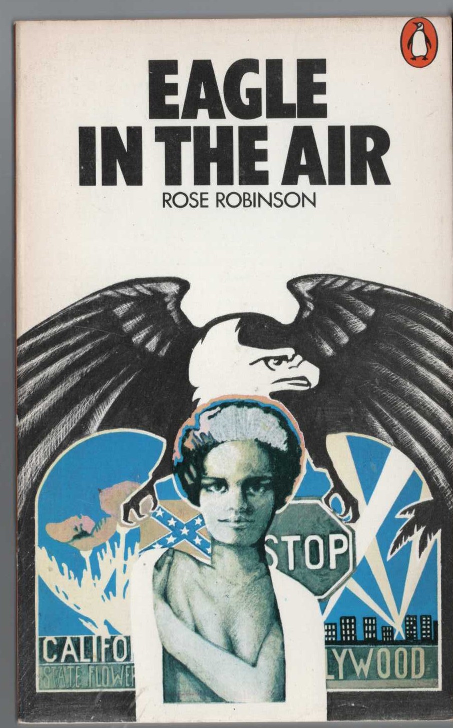 Rose Robinson  EAGLE IN THE AIR front book cover image