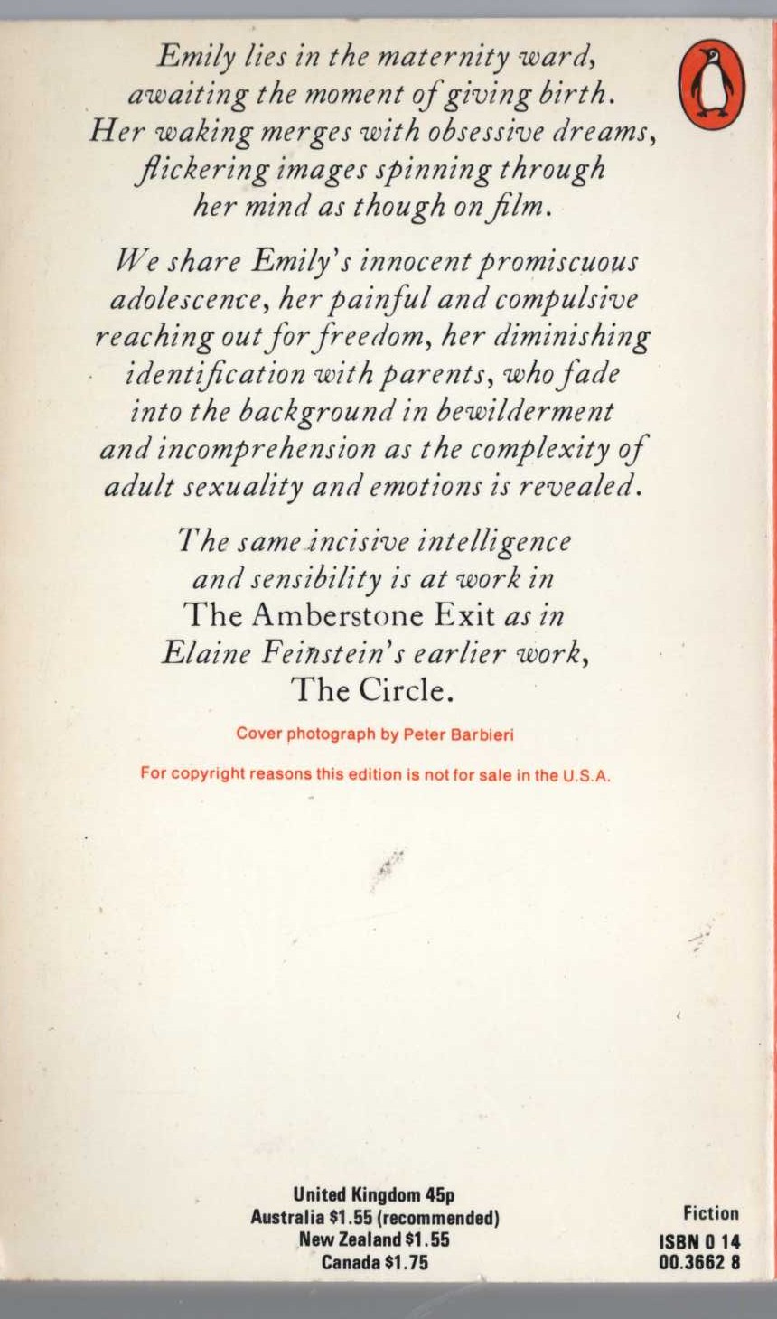 Elaine Feinstein  THE AMBERSTONE EXIT magnified rear book cover image