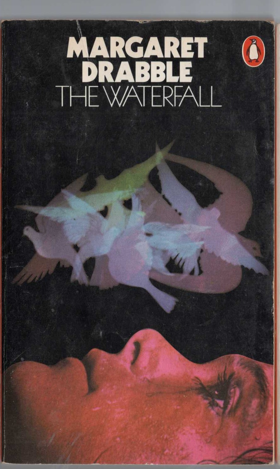 Margaret Drabble  THE WATERFALL front book cover image