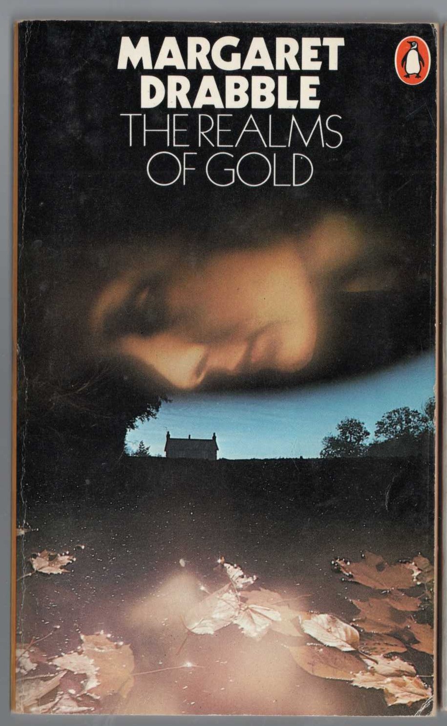 Margaret Drabble  THE REALMS OF GOLD front book cover image