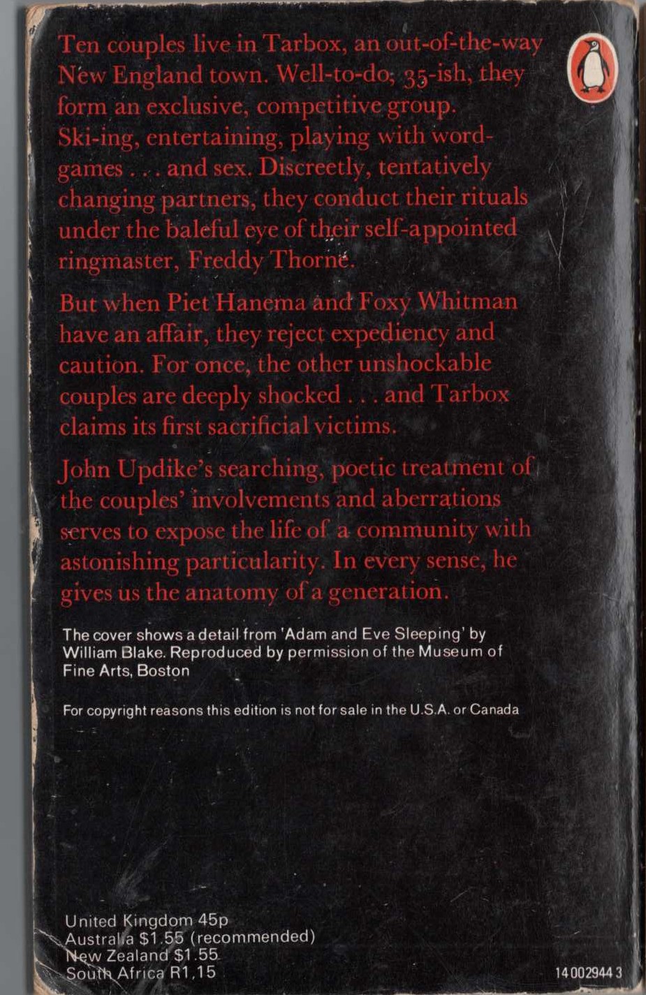 John Updike  COUPLES magnified rear book cover image