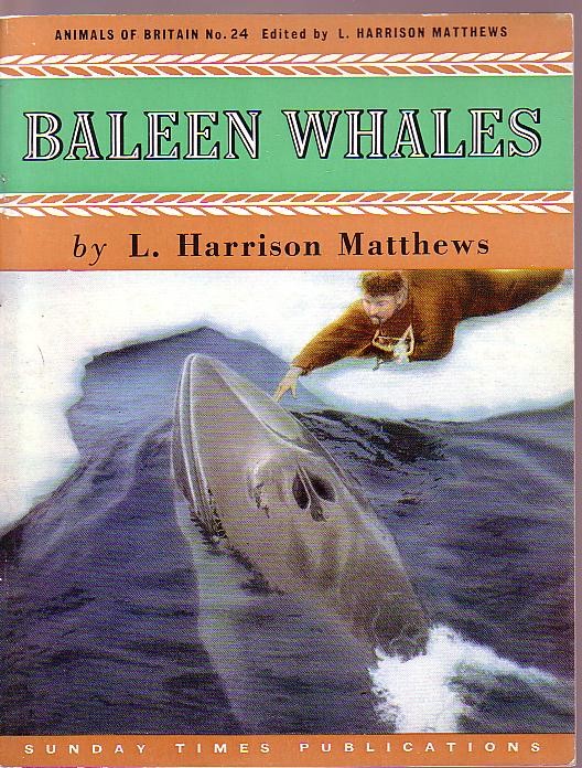 WHALES, Baleen by L.Harrison Matthews front book cover image
