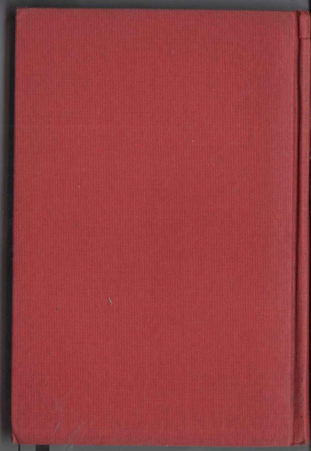 THE PLAGUE COURT MURDERS magnified rear book cover image