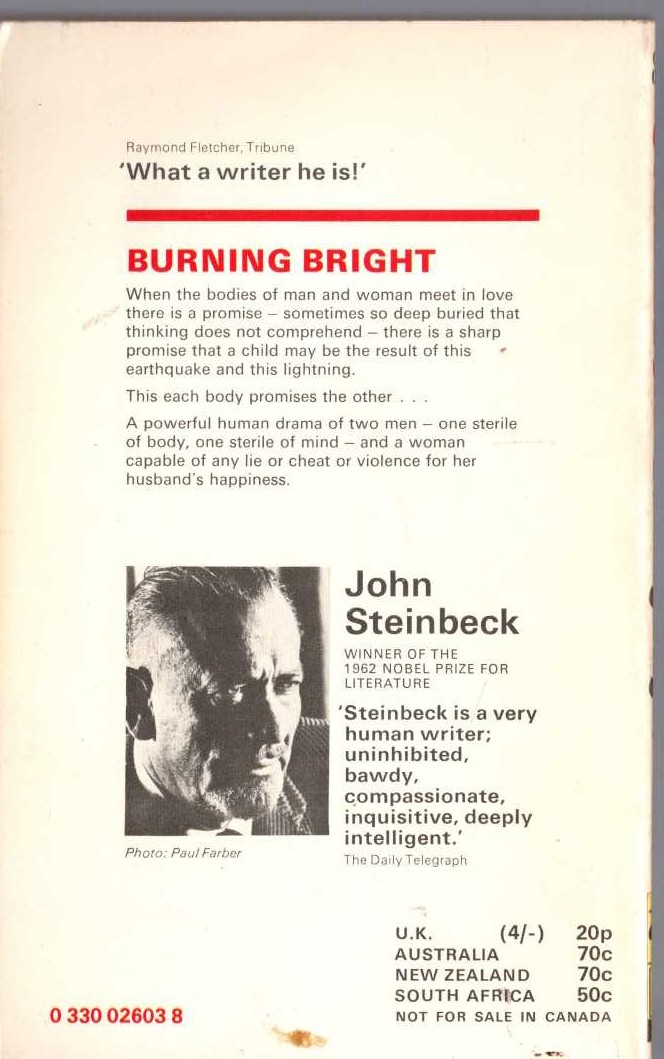 John Steinbeck  BURNING BRIGHT magnified rear book cover image