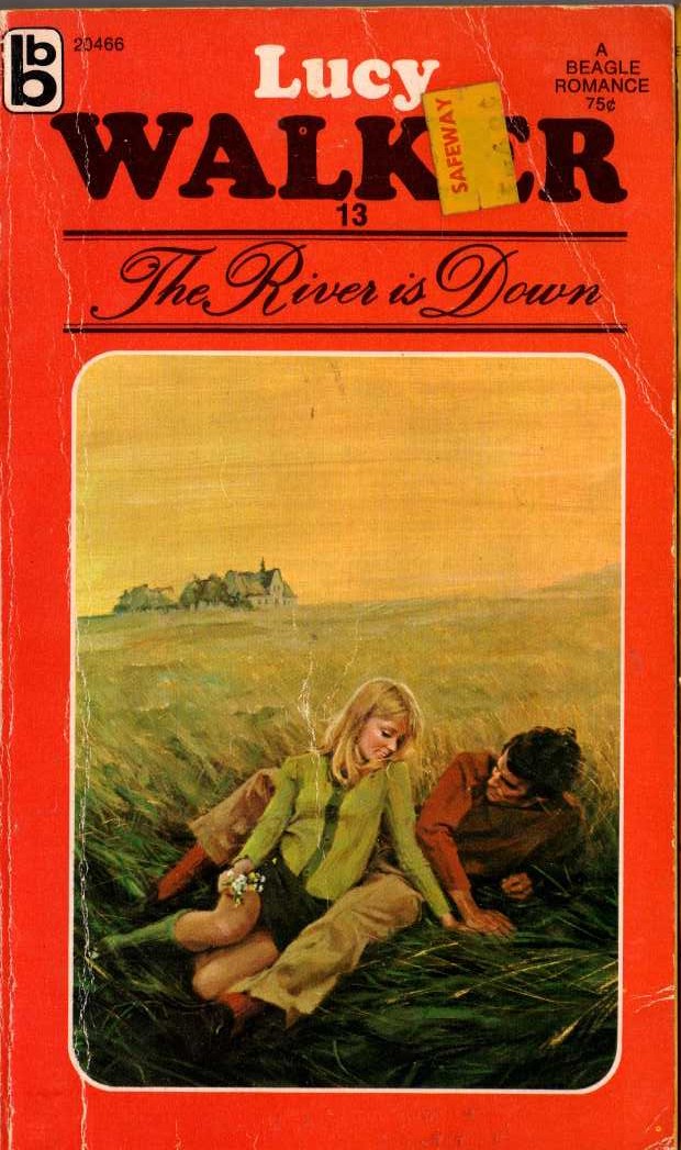 Lucy Walker  THE RIVER IS DOWN front book cover image